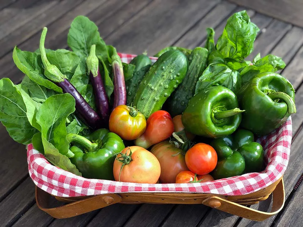 basket-of-vegetables-1729507581.webp