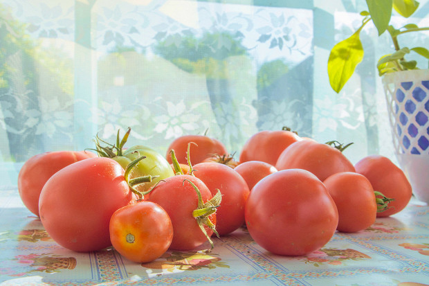 pomidori-1774435451.jpg