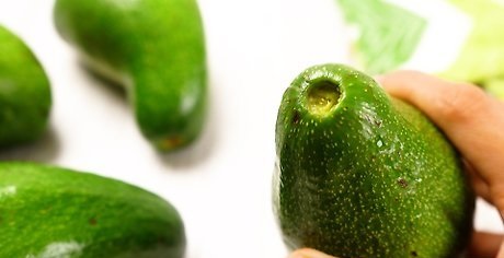 avokado-2-1777875676.jpg